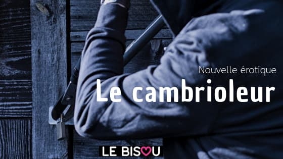 le cambrioleur