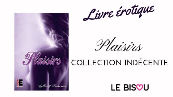 livre plaisirs collection indécente