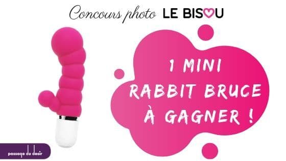 concours mini rabbit