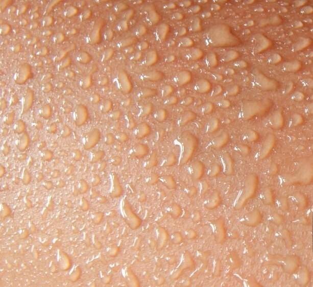 Eau en brume - & autres Dialogues Interdits