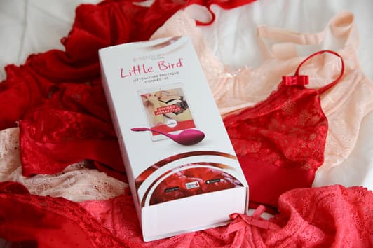 little bird lingerie