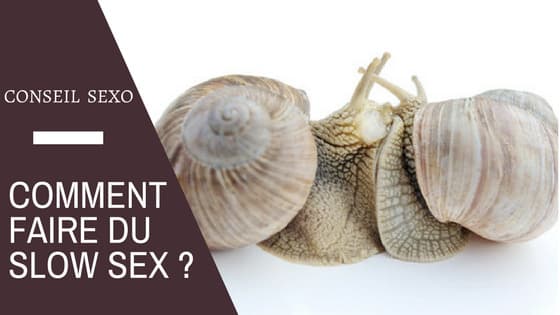 slow sex escargot